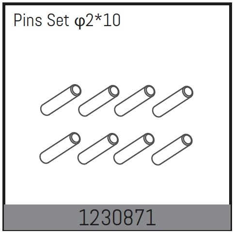 Absima 2*10 Pin Set (10)